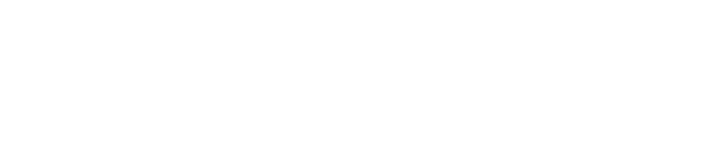 BELARMETA Logo